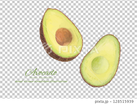 Vector illustration of a cut avocado painted in watercolor Vector illustration of a cut avocado painted in watercolor 128515939