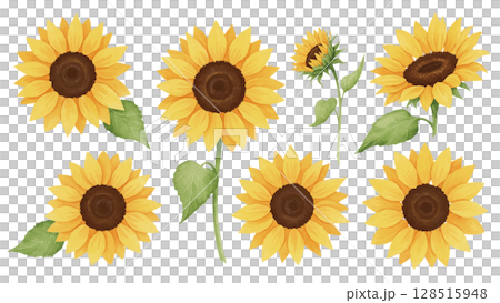 ひまわりのクリップアート ひまわりのクリップアート 128515948