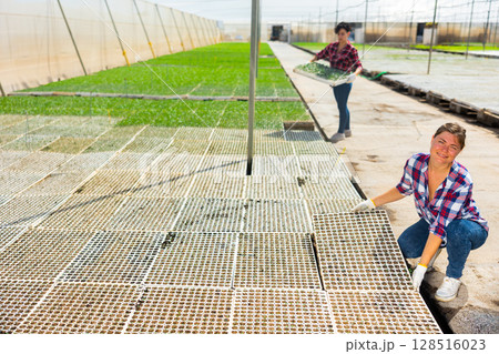 Smiling woman agriculturist working in warm house 128516023