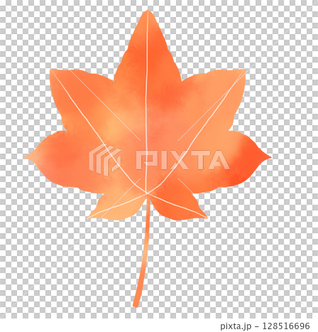 紅楓葉的水彩插圖 128516696