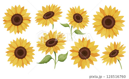 黄色いひまわりの花の水彩クリップアート 黄色いひまわりの花の水彩クリップアート 128516760