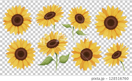 黄色いひまわりの花の水彩クリップアート 黄色いひまわりの花の水彩クリップアート 128516760