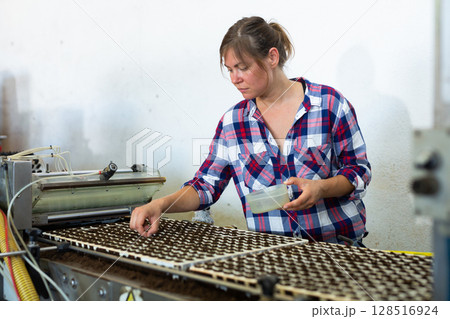 Skilled farmer woman working with automatic filling and seeding line for growing containerized seedlings of decorative plants in greenhouse 128516924