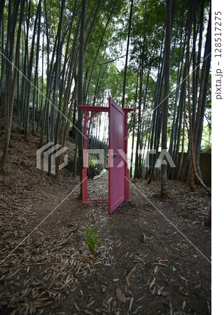 竹林の中にあるどこでもドア、観光地 128517275