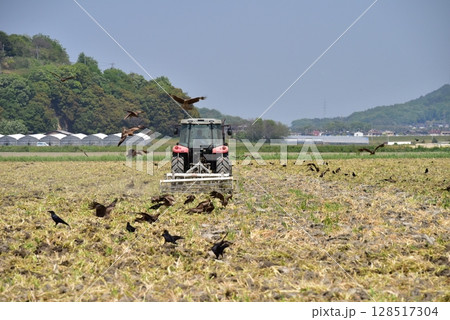 トラクターで農業をする風景 128517304