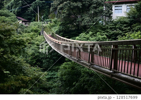山中の川を掛ける橋 128517699