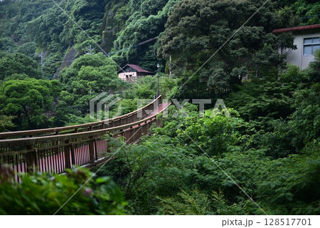 山中の川を掛ける橋 山中の川を掛ける橋 128517701