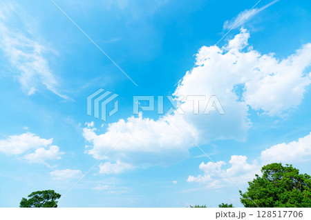 青空と雲と木立 青空と雲と木立 128517706