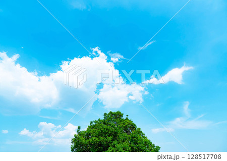 青空と雲と木立 青空と雲と木立 128517708