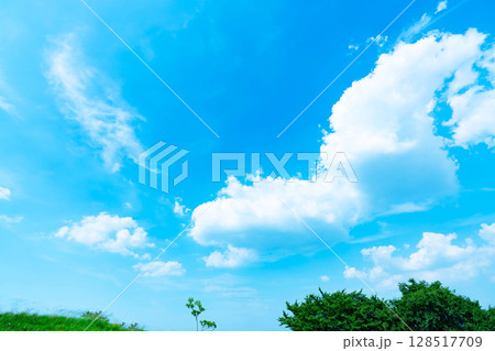 青空と雲と木立 青空と雲と木立 128517709