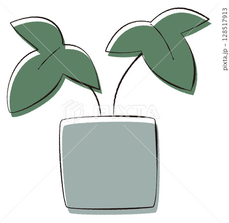 観葉植物のイラスト 128517913