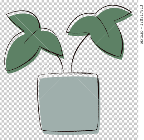 観葉植物のイラスト 128517913