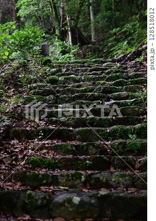 山の緑あふれる大自然の風景 128518012