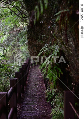 山の緑あふれる大自然の風景 山の緑あふれる大自然の風景 128518016