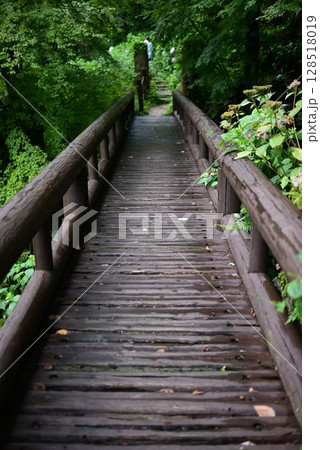 渓谷の整備された山道 128518019