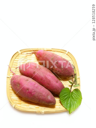 採れたてのサツマイモ（紅はるか・縦構図） 128518259