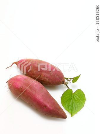 採れたてのサツマイモ（紅はるか・縦構図） 128518260