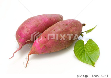 採れたてのサツマイモ（紅はるか） 128518261