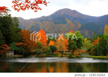 秋の金鱗湖（由布市湯布院町） 128518262