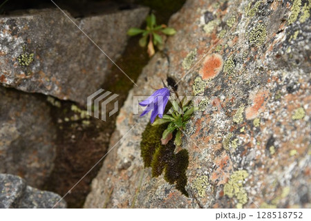 立山・室堂 雄山の夏景色 立山・室堂 雄山の夏景色 128518752