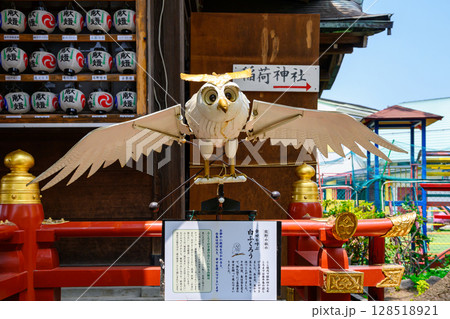 東京都葛飾区　五方山　立石熊野神社　幸せを呼ぶ白ふくろう　安倍晴明縁りの神社 128518921