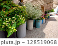 250709宮川朝市イラスト111s181 128519068