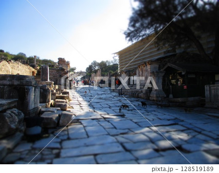 トルコ エフェス遺跡 ジオラマ風 トルコ エフェス遺跡 ジオラマ風 128519189