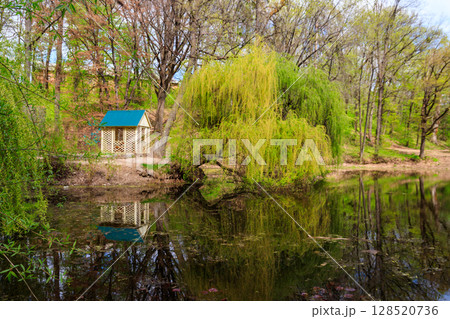 View of the Krasnokutsk park, Kharkiv region, Ukraine View of the Krasnokutsk park, Kharkiv region, Ukraine 128520736