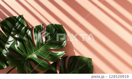 Green monstera leaves of the edge frame with shadow light, copy space solid background 128520919