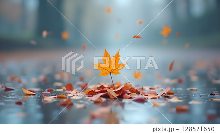Autumnal reflections capture the essence of fall with fallen leaves mirroring the sky creating a serene ambiance where the season's beauty is displayed Autumnal reflections capture the essence of fall with fallen leaves mirroring the sky creating a serene ambiance where the season's beauty is displayed 128521650