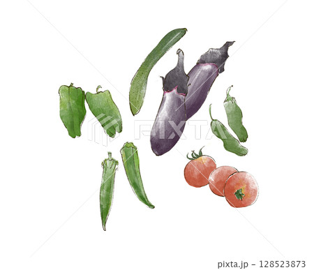 水彩で描いた夏野菜のイラスト 128523873