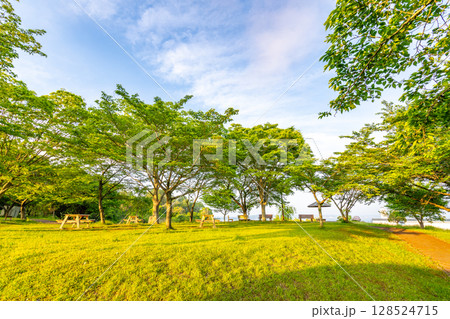 四大観　偉観　多聞山（七ヶ浜町）松島四大観　芝生の開放感がある広場 128524715