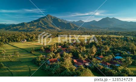 緑豊かな自然の中に佇むアジアの農村 128524729