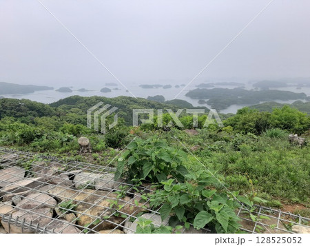 〈長崎県〉　高台から見た海　九十九島　曇り 128525052