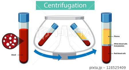 Blood Separation Process in Laboratory Centrifugation 128525409