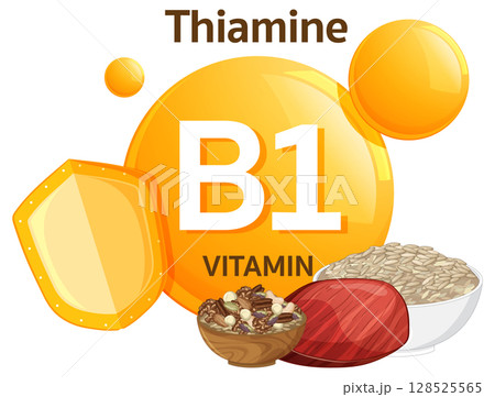 Vitamin B1 Thiamine Sources and Nutritional Benefits Illustration 128525565
