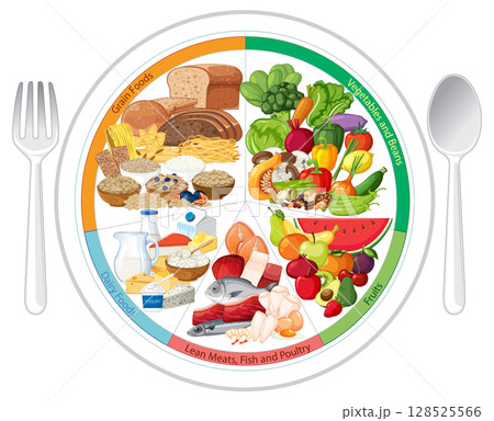 Balanced Food Plate Illustration with Food Groups Balanced Food Plate Illustration with Food Groups 128525566