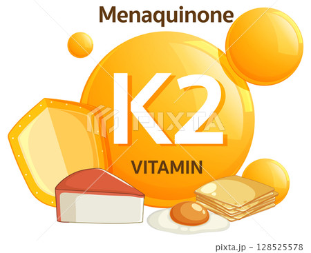 Vitamin K2 Menaquinone Sources Flat Vector Illustration 128525578