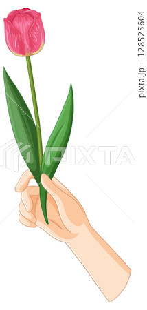 Hand Holding a Pink Tulip Illustration Hand Holding a Pink Tulip Illustration 128525604