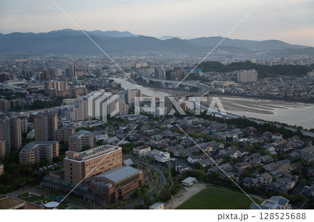 (福岡県)福岡タワーから眺める福岡市の街並み (福岡県)福岡タワーから眺める福岡市の街並み 128525688