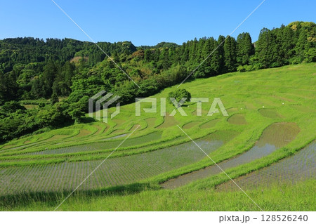 棚田のある風景 128526240