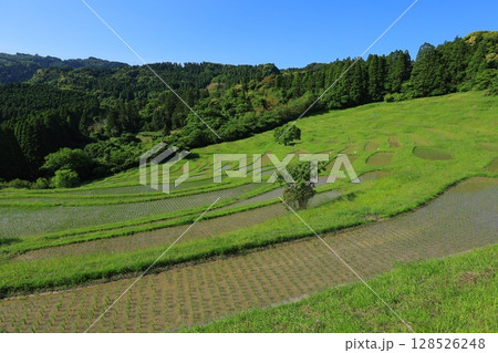 棚田のある風景 棚田のある風景 128526248