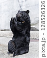 おやつが欲しいツキノワグマ 128526326
