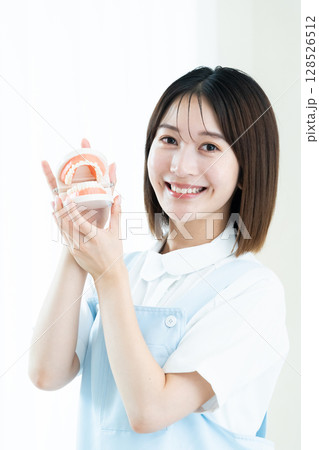 歯の模型を持つ歯科スタッフの女性 歯の模型を持つ歯科スタッフの女性 128526512