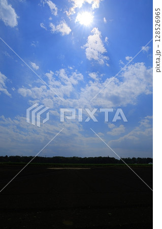 青空に浮かぶ白い雲 青空に浮かぶ白い雲 128526965