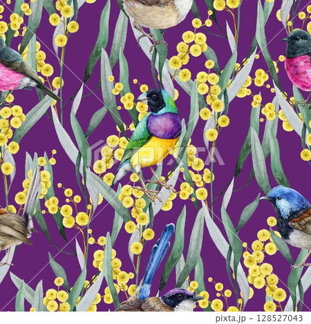Golden wattle flowers with Australia native birds seamless pattern. Hand drawn watercolor illustration. Golden acacia floral decor with birds elegant pattern design on purple background 128527043