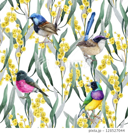Golden acacia flowers with fairy wrens seamless pattern. Hand drawn watercolor illustration. Golden wattle with Australian native birds floral decoration elegant pattern design on white background 128527044