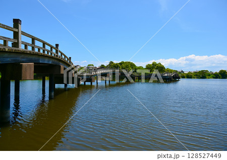 乙女ケ池　太鼓橋　大溝城跡　高島市 128527449