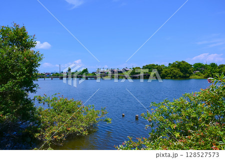 乙女ケ池　太鼓橋　大溝城跡　高島市 128527573