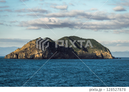 【東京九州フェリーはまゆう新門司行　高知県沖を航行　姫島】 128527878